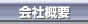 ЊTv